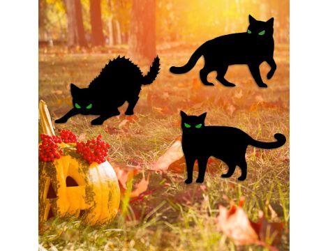Halloween wartość rynkowa: 3792 € - 15