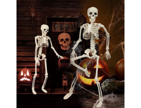 Halloween wartość rynkowa: 3792 € - 13
