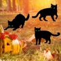 Halloween wartość rynkowa: 3792 € - 16