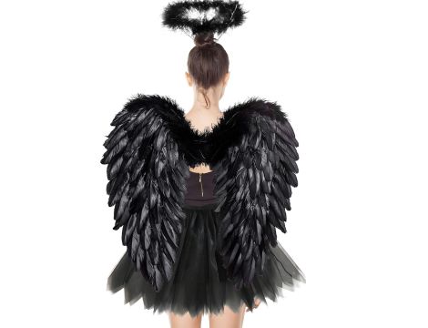 Halloween wartość rynkowa: 2506 € - 3