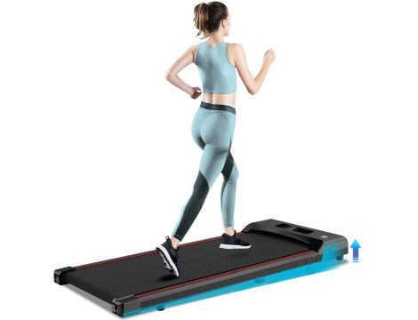 Sport wartość rynkowa: 1140 €