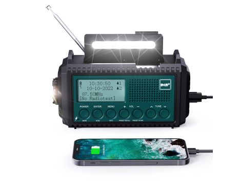 Elektronika wartość rynkowa: 17171 €