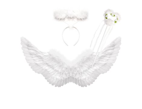 Halloween wartość rynkowa: 5239 € - 13