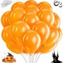 Halloween wartość rynkowa: 5239 € - 16