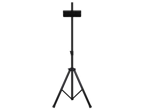 Sport wartość rynkowa: 156 €